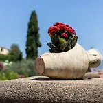 Il Viaggio Frühstückspension Diano Marina