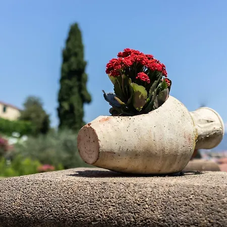 Il Viaggio Oda ve Kahvaltı Diano Marina