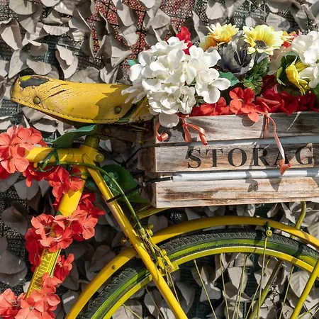 Il Viaggio Couette-café