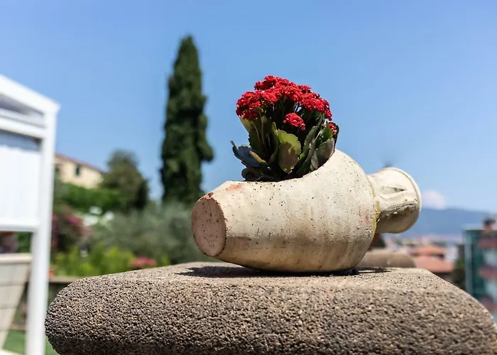 Il Viaggio 住宿加早餐酒店 迪亚诺马里纳